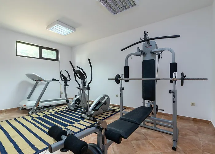 Maca & Διαμέρισμα