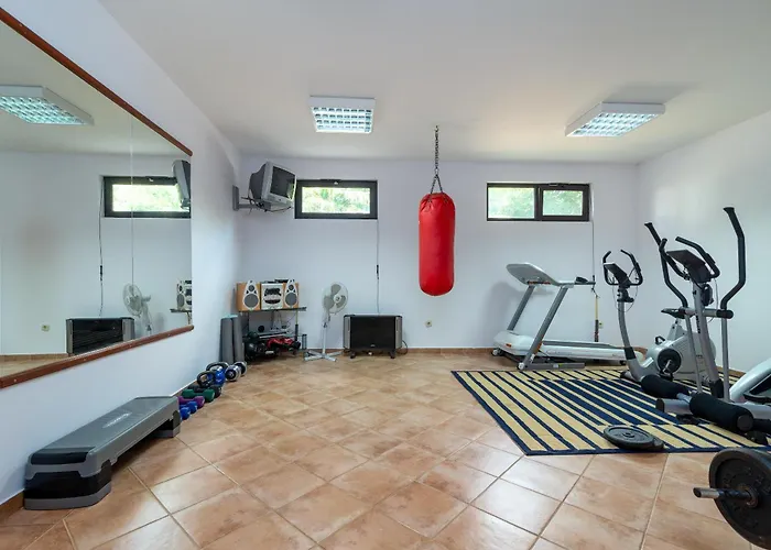 Maca & * Τρογκίρ